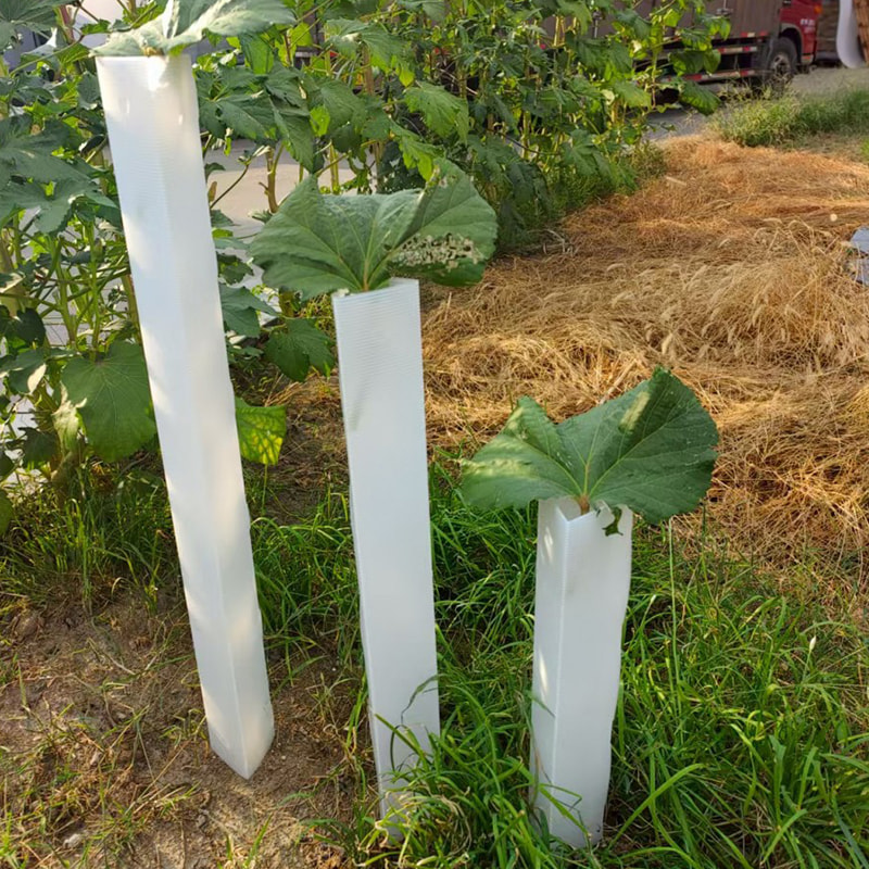 Anti Bite Korrugerad plast Sapling Tree Protection Tube